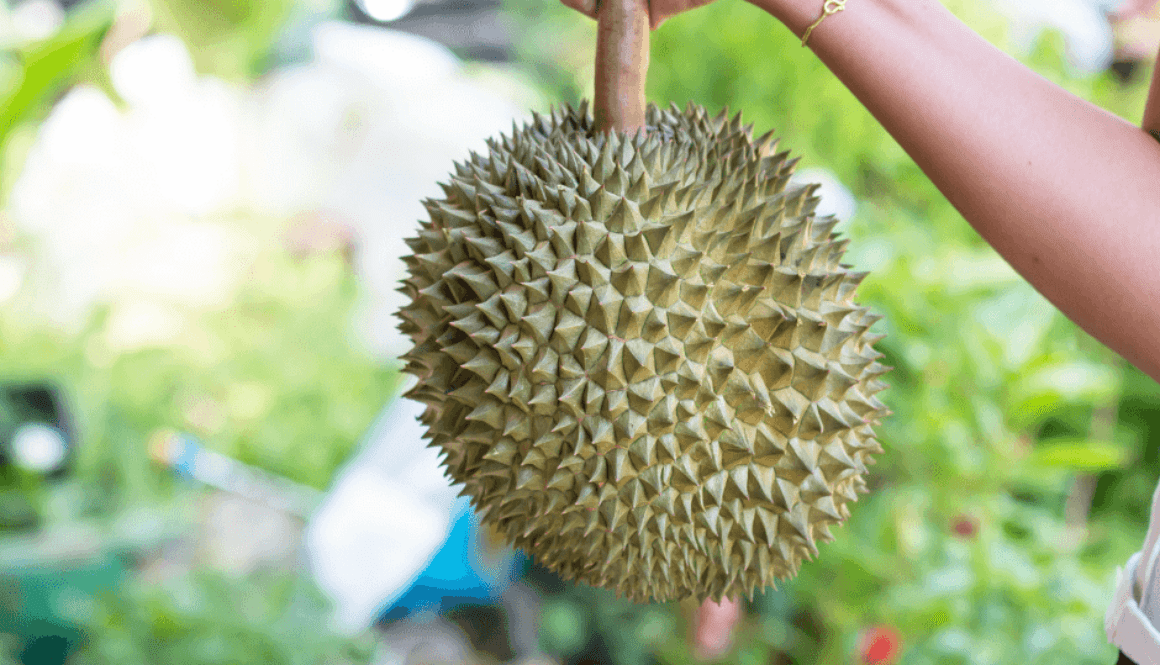 Fruit story (1)