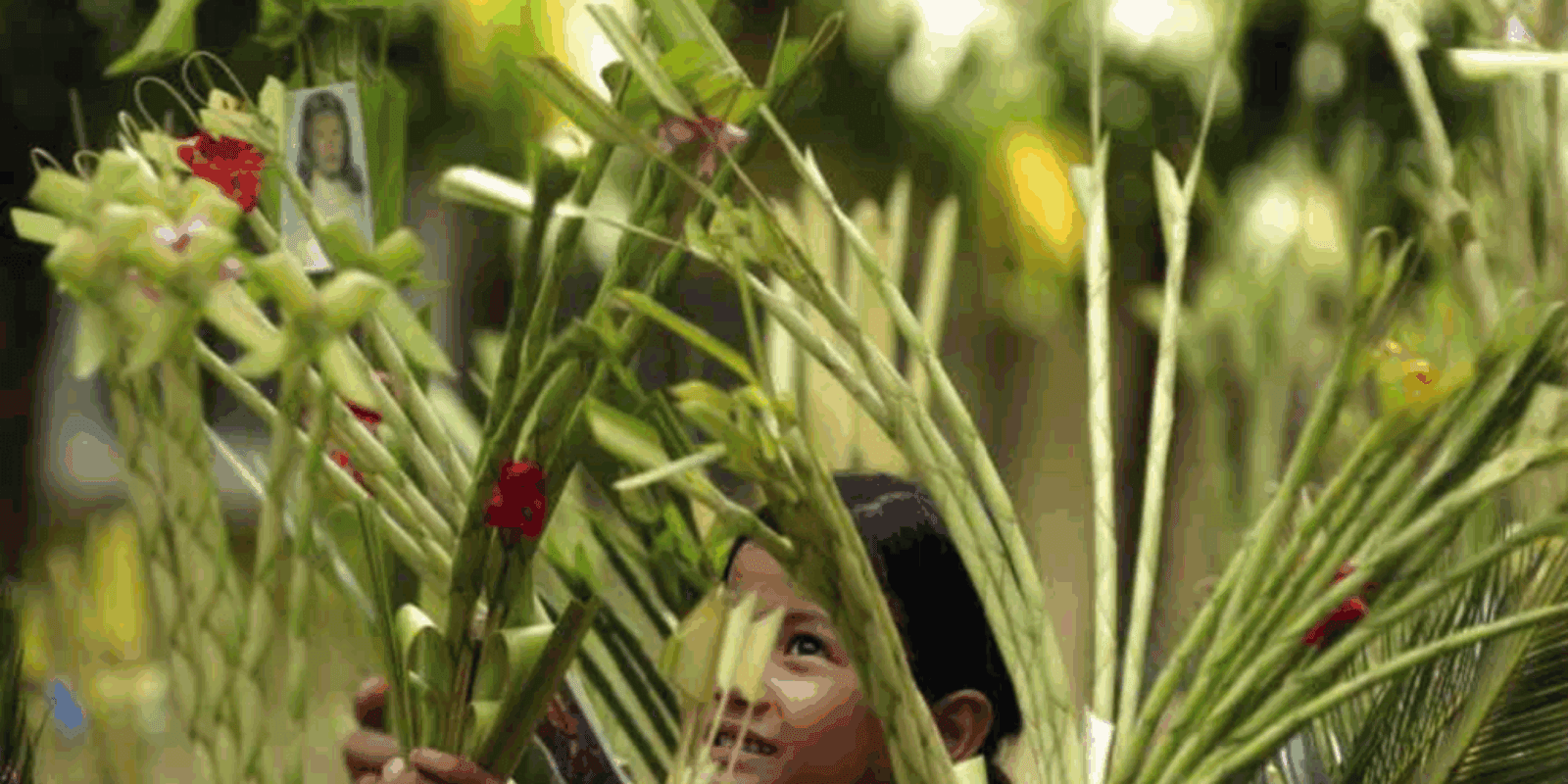 Screenshot 2025-04-17 at 10.41.33 PM